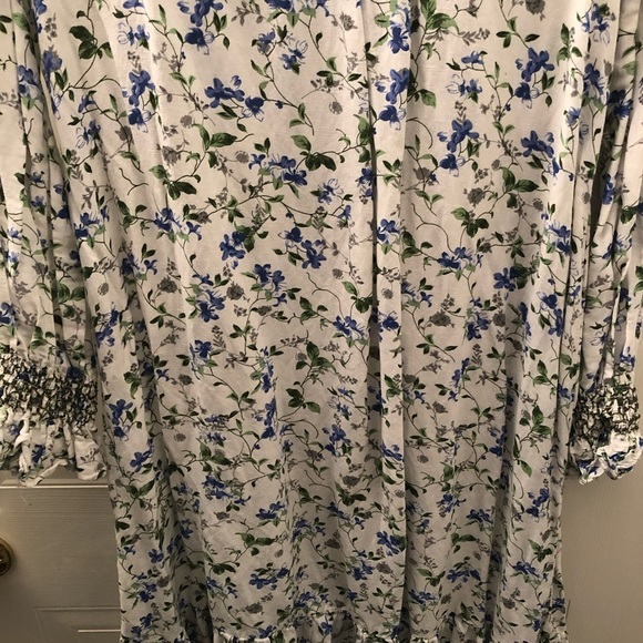 ZARA Floral Daydreamer Long-sleeve Maxi Dress - Picture 14 of 16